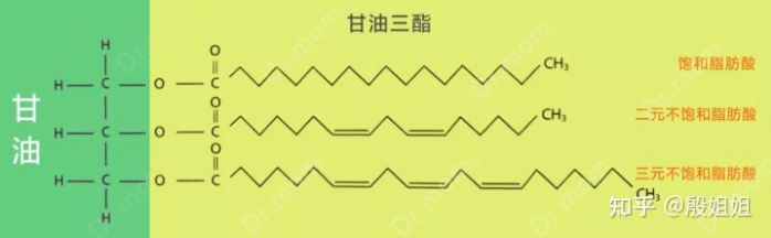 甘油三脂
