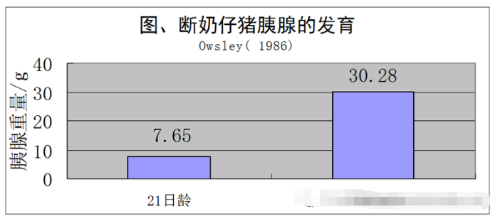 中链脂肪酸的功能