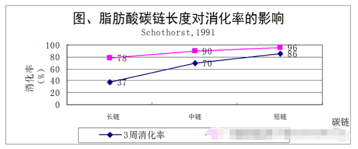 中链脂肪酸的功能