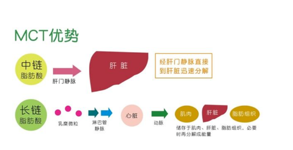 中长链脂肪酸食用油以植物油和中链甘油三酯为原料