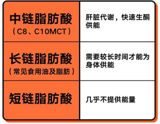 中链脂肪酸MCT