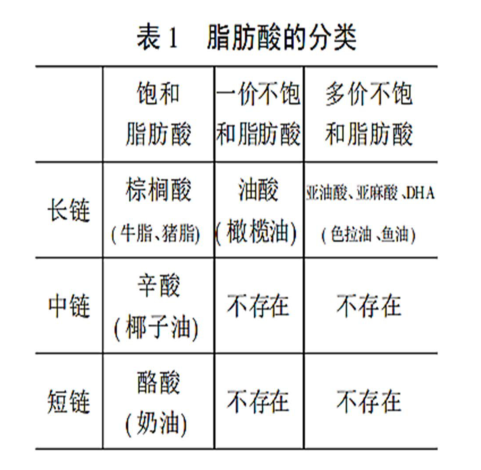 MCT消化吸收代谢机制