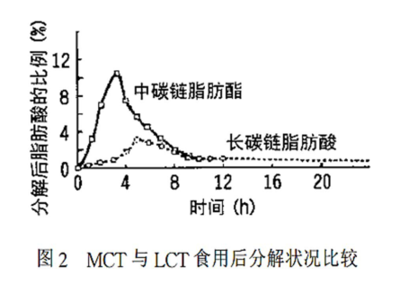MCT消化吸收代谢机制